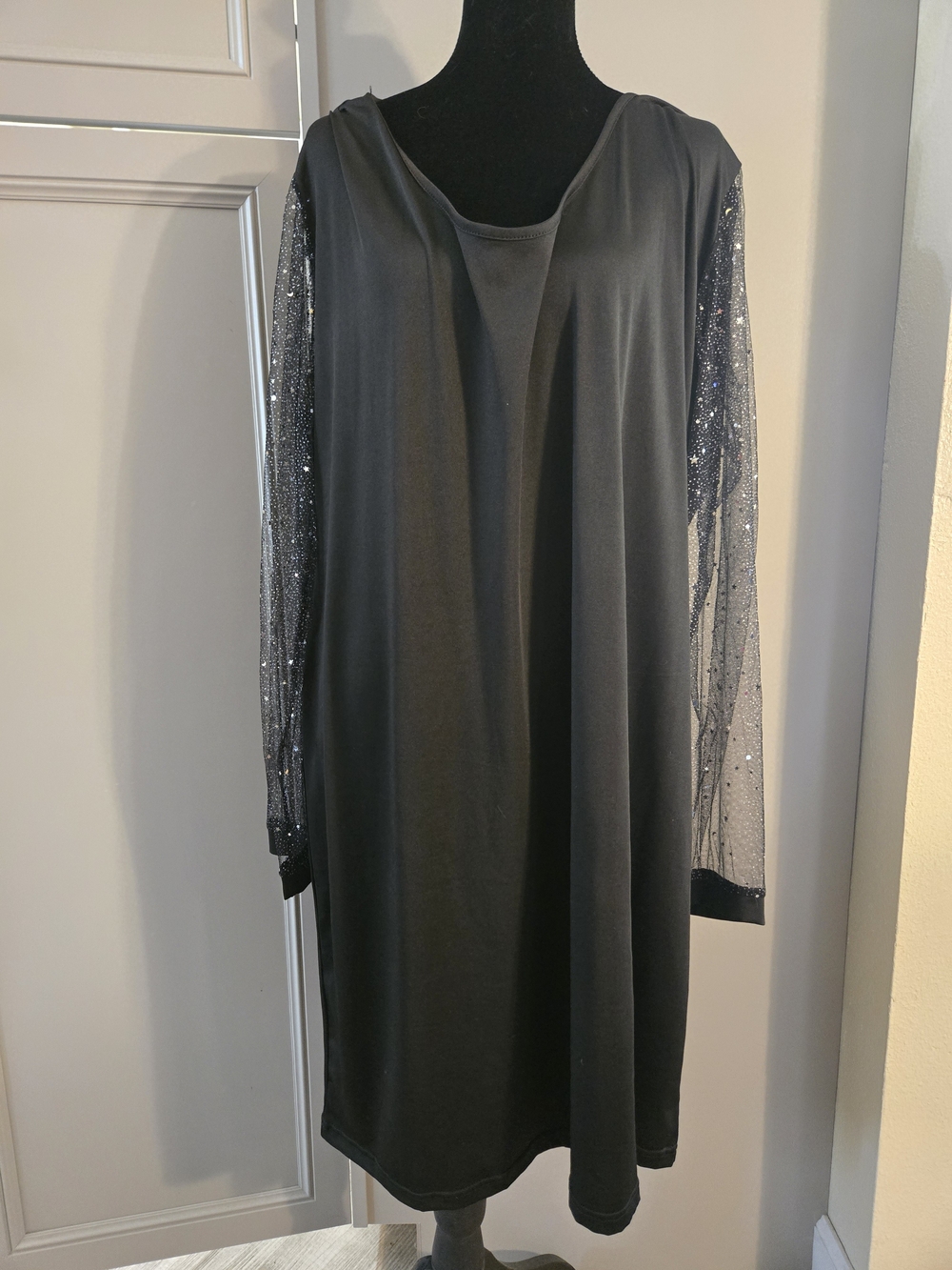 3X Elegant Black Dress with Sheer Sparkly Sleeves